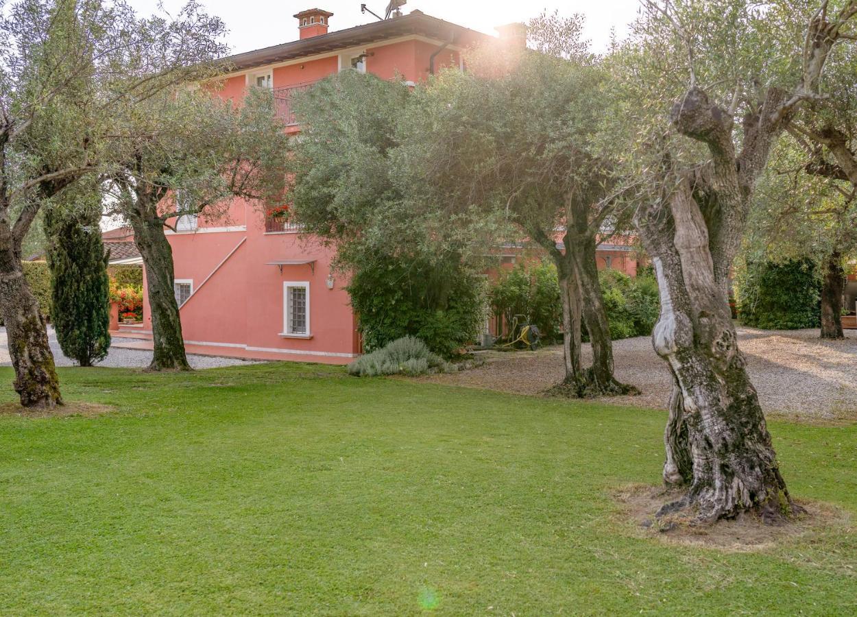 In Versilia Seravezza Εξωτερικό φωτογραφία