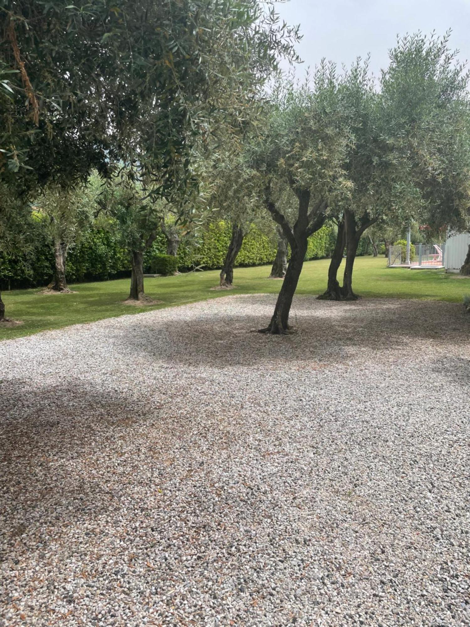 In Versilia Seravezza Εξωτερικό φωτογραφία